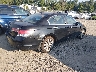 1HGCP3F88BA****** Salvamento y Destrozados 2011 Honda Accord en Estado de Virginia