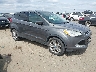 1FMCU0H91DU****** Salvamento y Destrozados 2013 Ford Escape en Sacramento