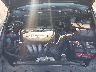 1HGCM56746A****** Reparables 2006 Honda Accord en Raleigh