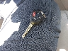 4T1BE46K67U****** Salvamento 2007 Toyota Camry en Estado de Carolina del Norte