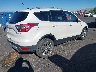 1FMCU0JD2HU****** Salvamento y Destrozados 2017 Ford Escape en Estado de Nevada