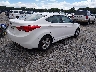 5NPDH4AE0DH****** Salvage and Wrecked 2013 Hyundai Elantra in South Carolina State