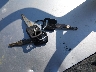 1FALP4046TF****** Salvamento 1996 Ford Mustang en Estado de Missouri
