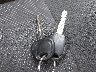 KNADE123276****** Salvage 2007 Kia Rio in Maine State