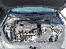 5NPE34AF7KH****** Reparables 2019 Hyundai Sonata en Nashville