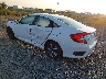 2HGFC2F69KH****** Salvamento y Reparables 2019 Honda Civic en Nashville