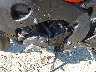 JH2SC59048M****** Usados 2008 Honda Cbr1000 en Rec Rides Online Exclusive