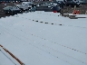 1FBZX2ZM6FK****** Salvage and Wrecked 2015 Ford Transit in Buffalo