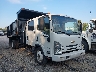 54DCDJ1D8LS****** Salvage and Wrecked 2020 Chevrolet 4500 Lcf Gas in Specialty Division