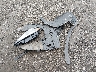 5N1AZ2MS4KN****** Destrozados 2019 Nissan Murano en Estado de Nueva Jersey