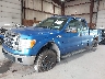 1FTEX1E82AF****** Used and Repairable 2010 Ford F-150 in Newburgh