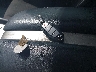 5N1AZ2MH2GN****** Salvage 2016 Nissan Murano in Wisconsin State