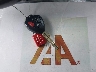 2T1BU4EE8AC****** Salvage 2010 Toyota Corolla in Florida State
