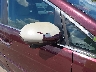 5FNRL5H67EB****** Salvamento y Reparables 2014 Honda Odyssey en Estado de Tennessee