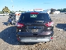 1FMCU0GX7DU****** Destrozados 2013 Ford Escape