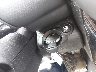 WMWZB3C56CW****** Salvamento 2012 MINI Cooper Countryman en Estado de Ohio