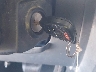 1J4BA6H17AL****** Salvamento 2010 Jeep Wrangler en Estado de Florida