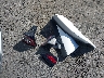 5YJ3E1EA7NF****** Destrozados 2022 Tesla Model 3 en Estado de California