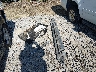 1GNSCJE04DR****** Wrecked 2013 Chevrolet Suburban 1500 in South Carolina State