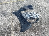 7SAYGDED6RF****** Wrecked 2024 Tesla Model Y in Florida State