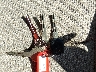 JF1SG63663G****** Repairable 2003 Subaru Forester in Saint Louis