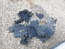 JN1EV7AP3GM****** Destrozados 2016 Infiniti Q50 en Estado de Texas