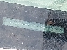 2T1BR32E43C****** Wrecked 2003 Toyota Corolla in New York State