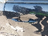 JTKJF5C71D3****** Usados y Reparables 2013 Scion TC en Ace Carson