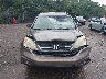 5J6RE4H35BL****** Salvamento y Reparables 2011 Honda CR-V en Estado de Pennsylvania