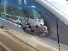 1FMCU0GX5EU****** Used 2014 Ford Escape in Kansas State