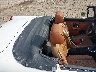 GHN5UF3***** Destrozados 1975 MG Mgb en Taunton