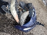 5NPDH4AE2CH****** Salvage 2012 Hyundai Elantra in New Mexico State