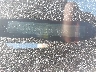 WBA3C1C53DK****** Usados 2013 BMW 3 Series en Lake City