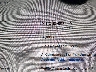5YJYGDEF4MF****** Salvage 2021 Tesla Model Y