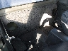 1N6SD16S2VC****** Wrecked 1997 Nissan Pickup in San Antonio South