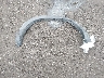 3D7MU48C24G****** Wrecked 2004 Dodge Ram 3500 in Washington State