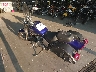1HFSC18146A****** Salvamento y Reparables 2006 Honda VT1100 (Shadow Spirit 1100) en Fort Wayne