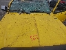 1FTZR45E46P****** Repairable 2006 Ford Ranger in Elkton