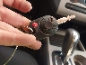 2FMDK36C09B****** Salvage 2009 Ford Edge in Michigan State