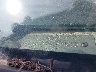 1FTNE2EW3BD****** Repairable 2011 Ford E-250 in New York State