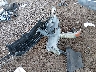 2GTEC13T051****** Wrecked 2005 GMC Sierra 1500 in Arizona State