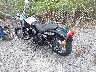 JH2RC5814DK****** Salvamento y Reparables 2013 Honda VT750 (Shadow RS 750) en Gulf Coast