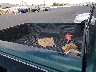 1FTYR10X7WU****** Wrecked 1998 Ford Ranger in Las Vegas