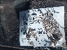 1FAFP42X23F****** Used 2003 Ford Mustang in Phoenix
