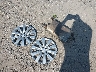 4T4BF1FK6CR****** Wrecked 2012 Toyota Camry in Ohio State
