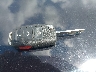 3VWVA7AT0CM****** Salvage 2012 Volkswagen Beetle in Alabama State