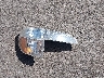 1FMYU22E5WU****** Wrecked 1998 Ford Explorer in California State