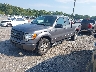 1FTRX14W99F****** Used and Repairable 2009 Ford F-150 in Elkton