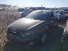 5XXGN4A71EG****** Used and Repairable 2014 Kia Optima in Phoenix