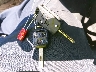 JT8BD69S720****** Salvamento 2002 Lexus GS en Estado de California